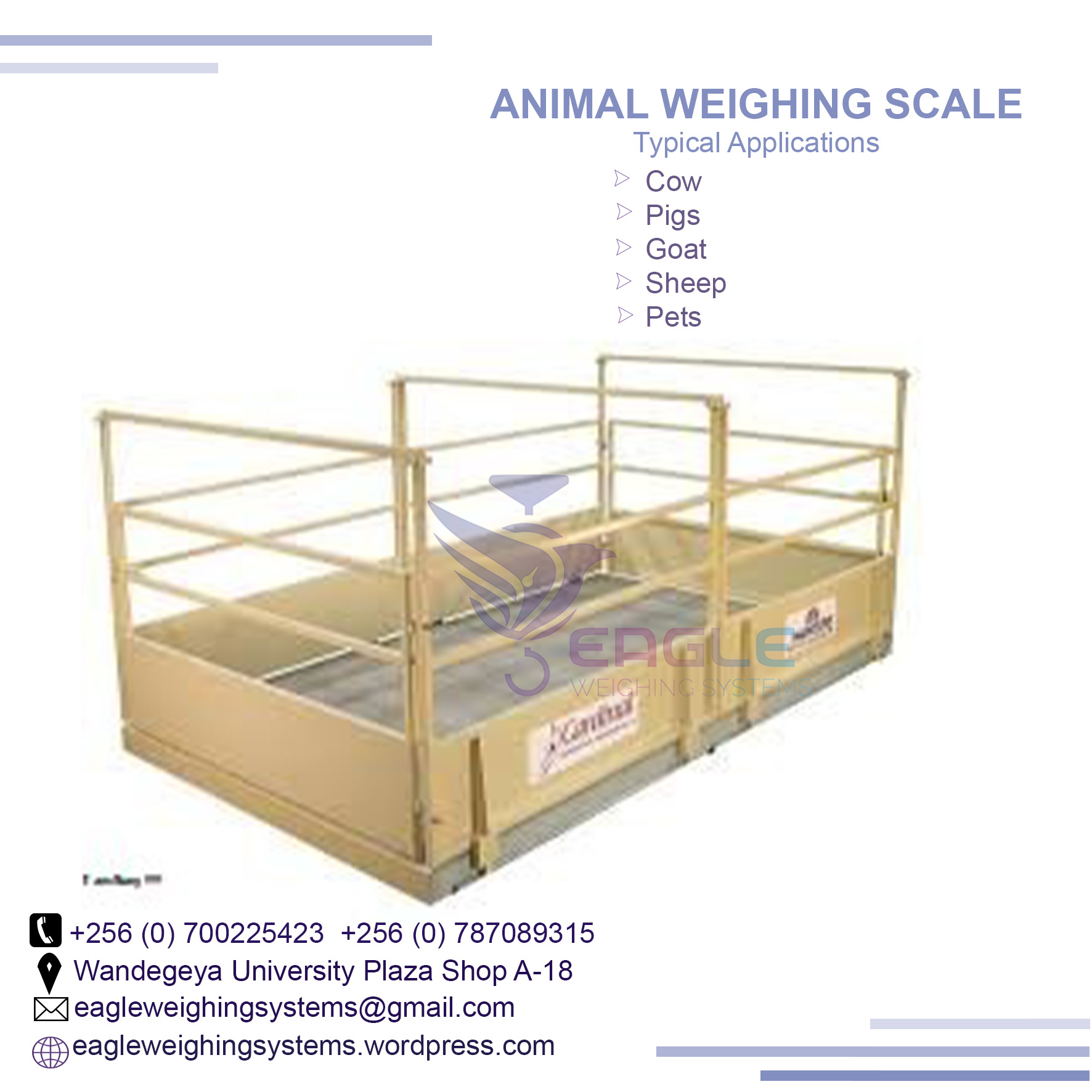 Animal Computing weighing  scales for shops in Uganda'