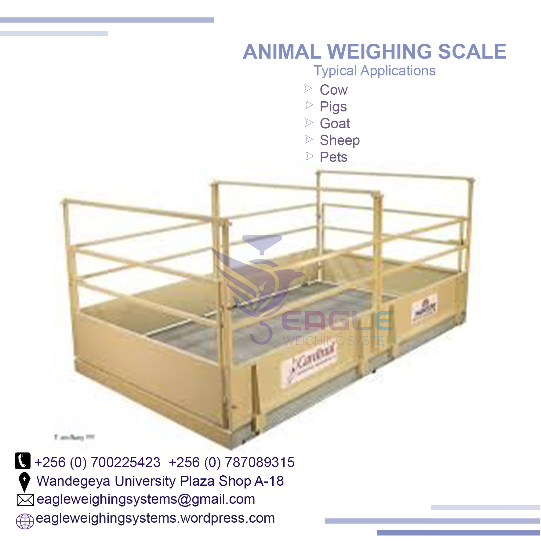 Animal cows, goats industrial use weighing scales in Kampala'