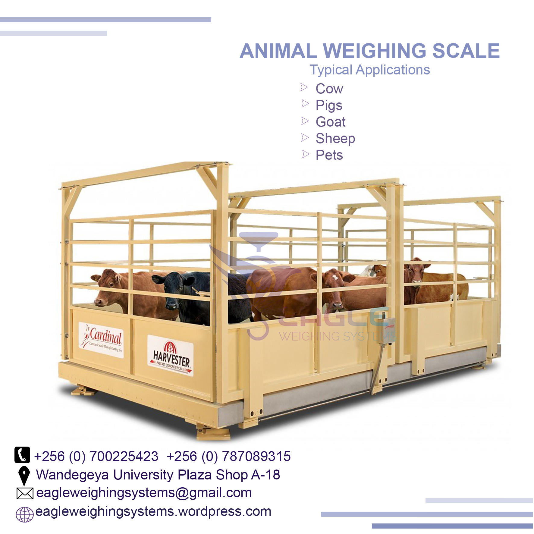 Animal TCS system electronic bench weighing digital platform'