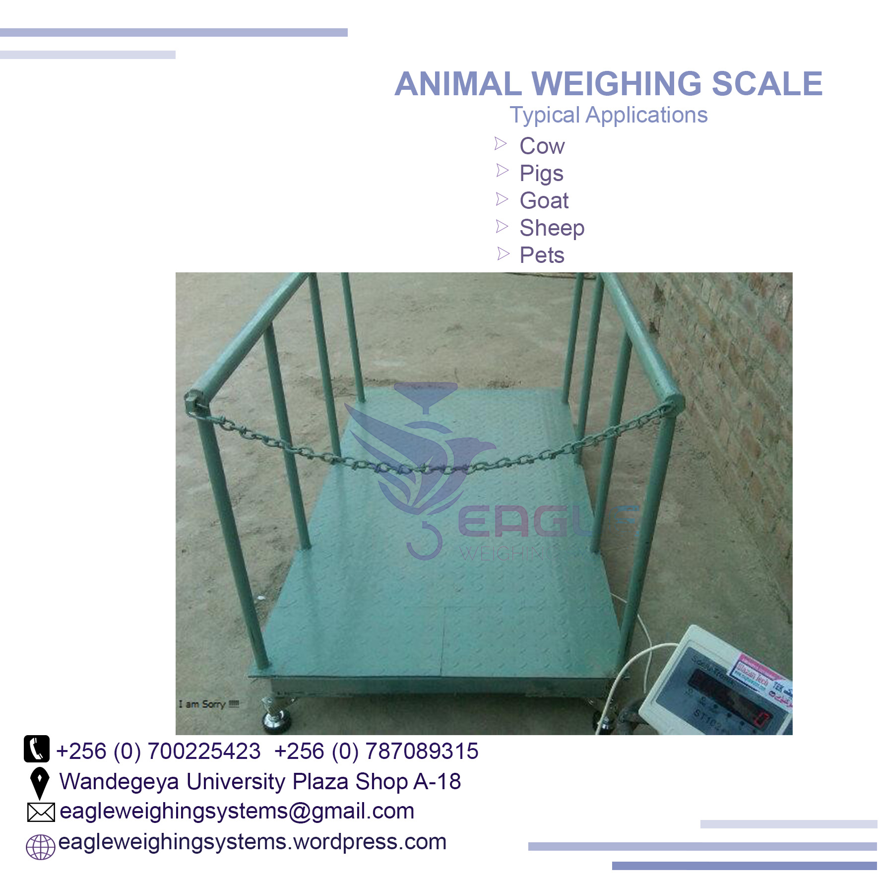 Digital weight 3 ton electric warehouse animal weighing scal'