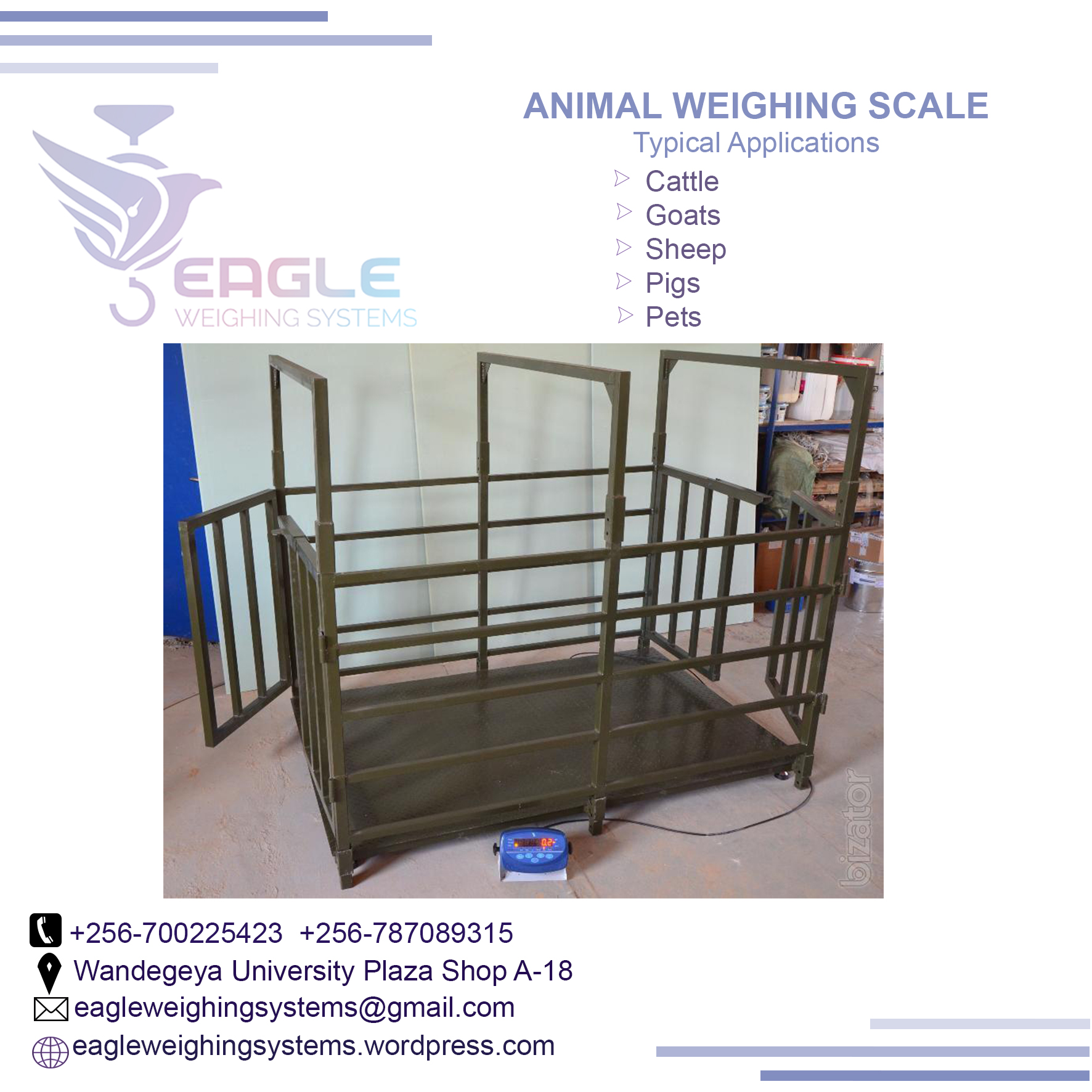 A12E platform animal weighing scales company Kampala Uganda'