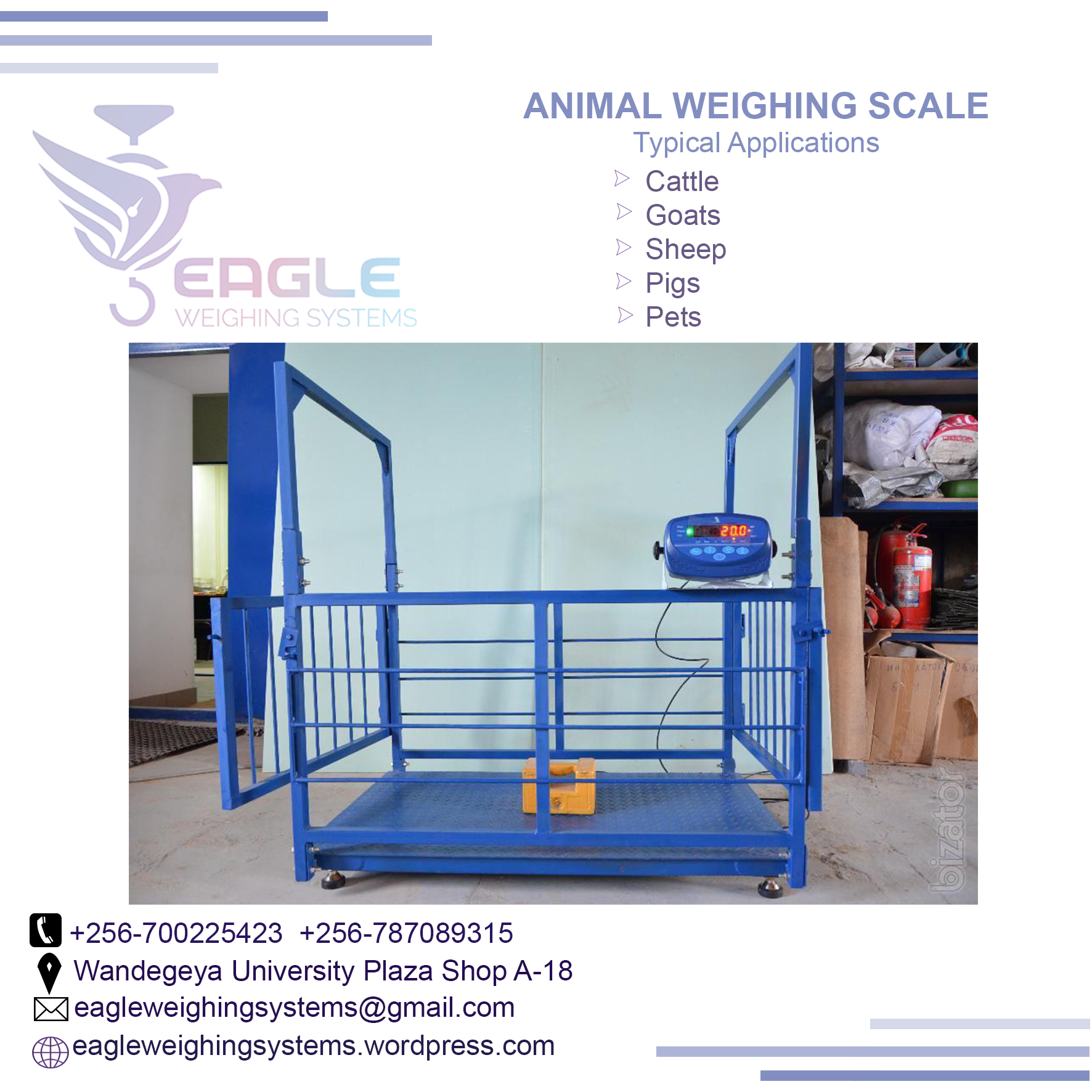 Heavy duty animal, cows, livestock weighing scales supplier'