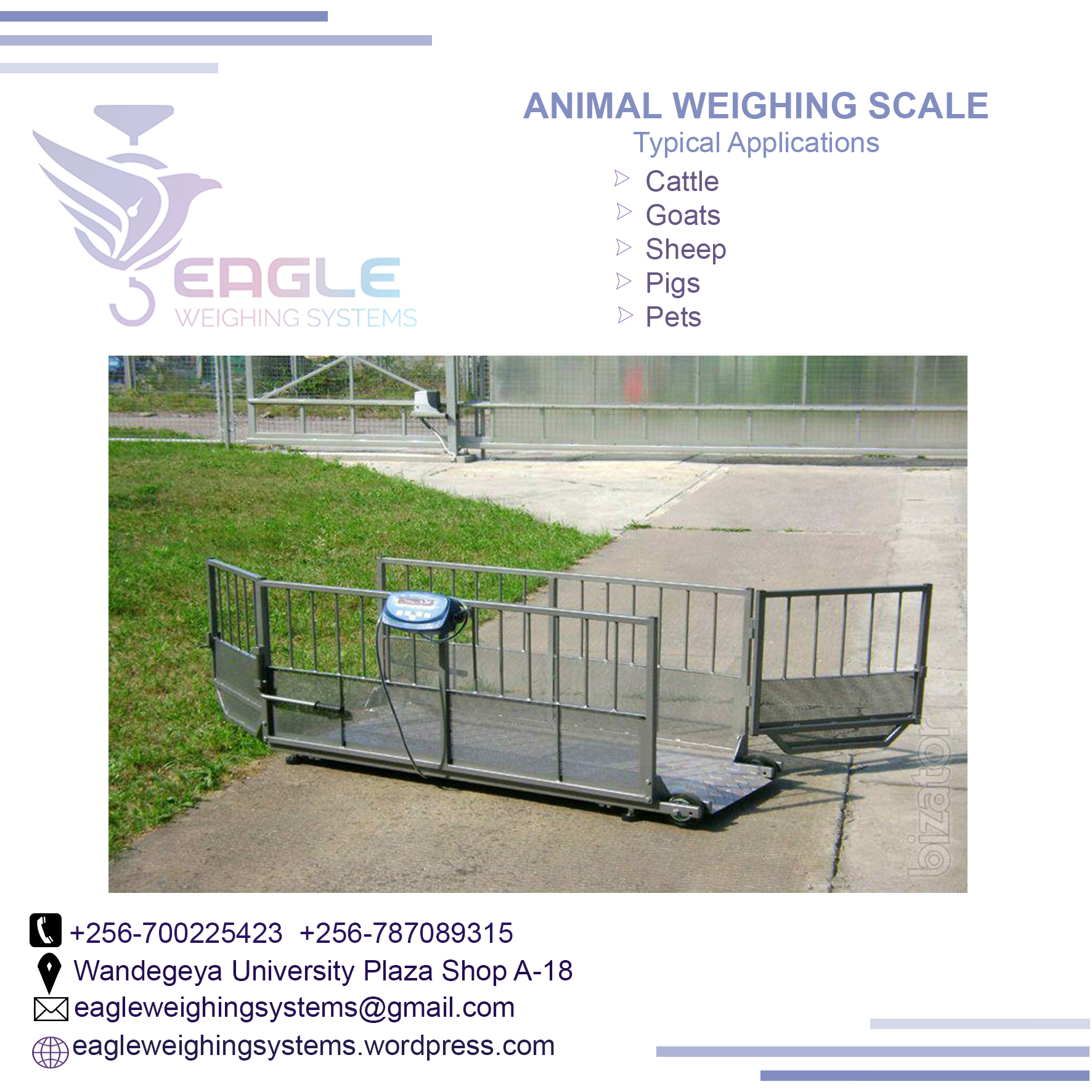 Cattle animal Weight floor weighing scales for industries in'