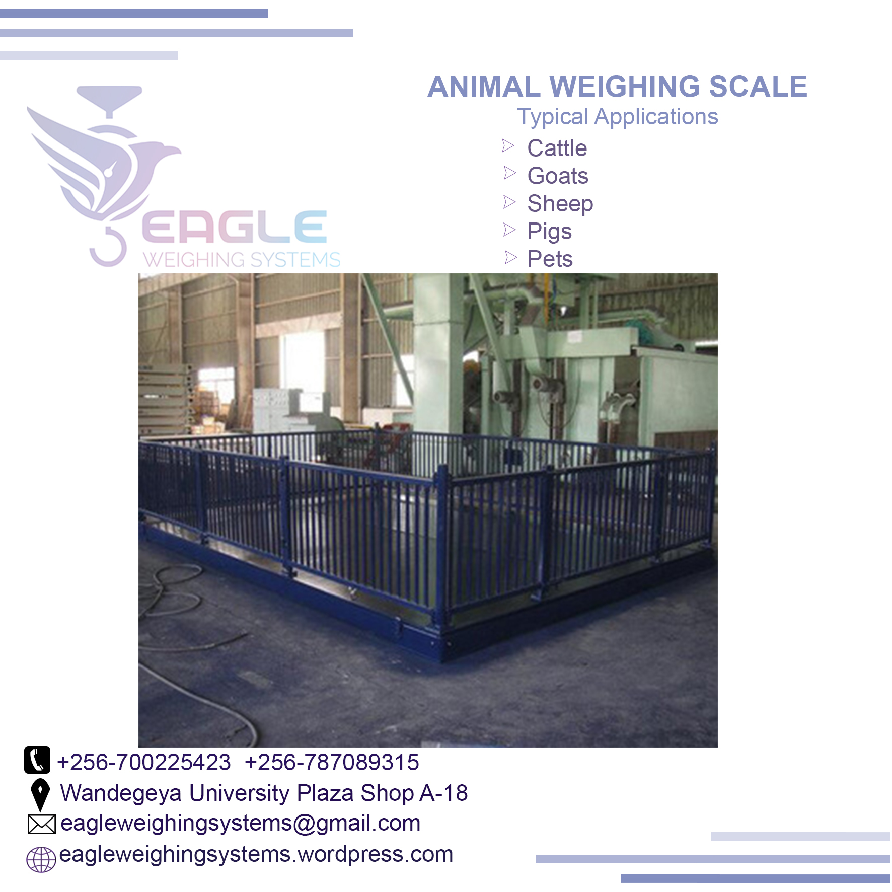 3000KG animal cattle Electronic Digital Industrial Platforms'
