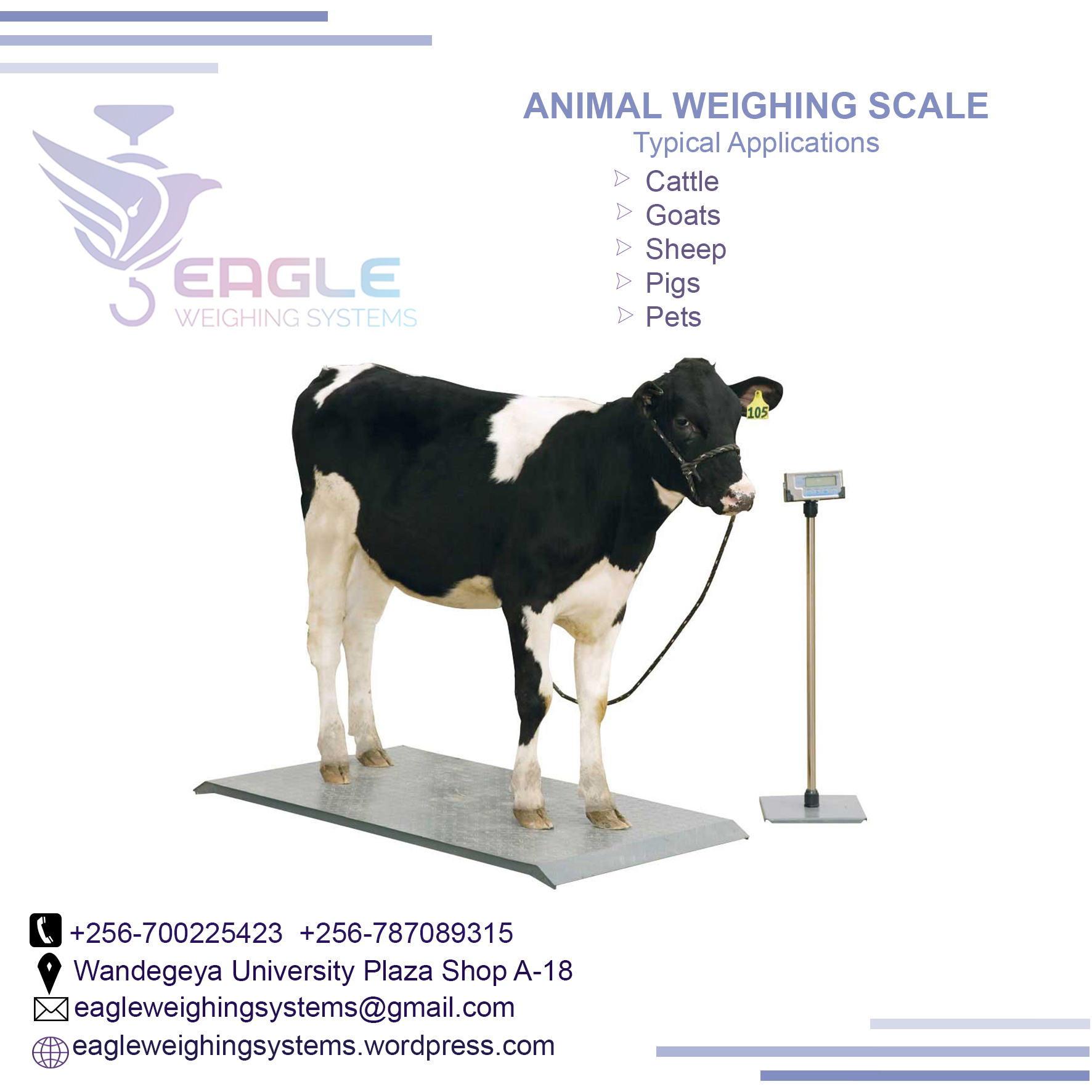 Animal livestock Weighing Scale Bench Scale For animals in K'