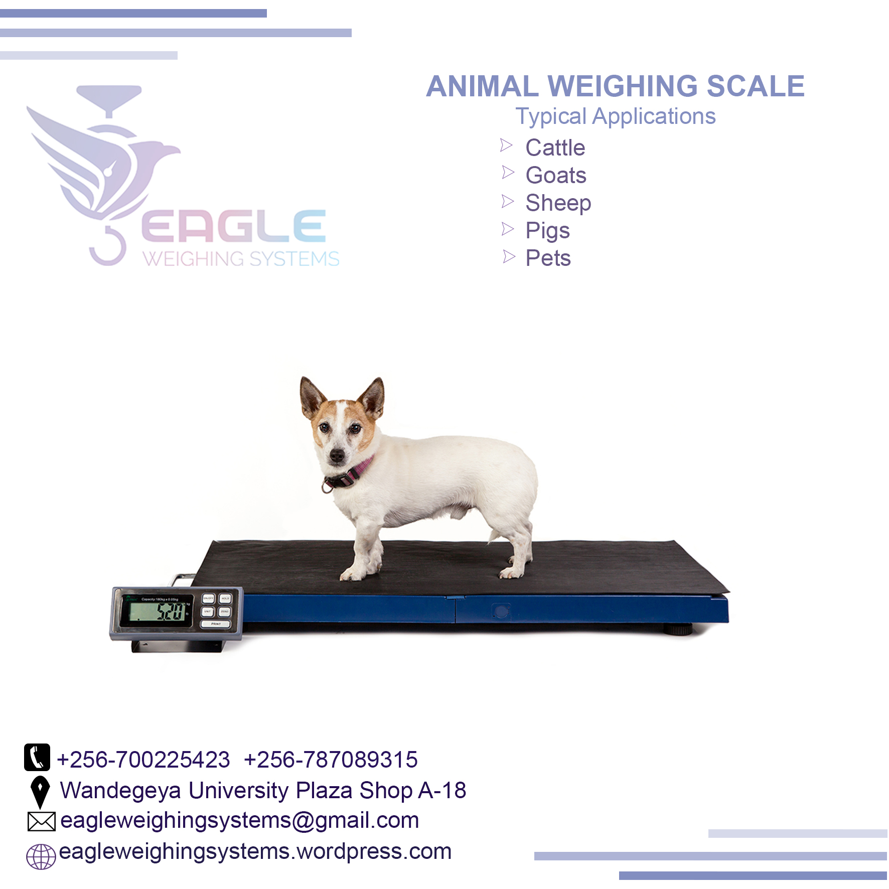 Platform floor scale industrial animal weighing scales in U'