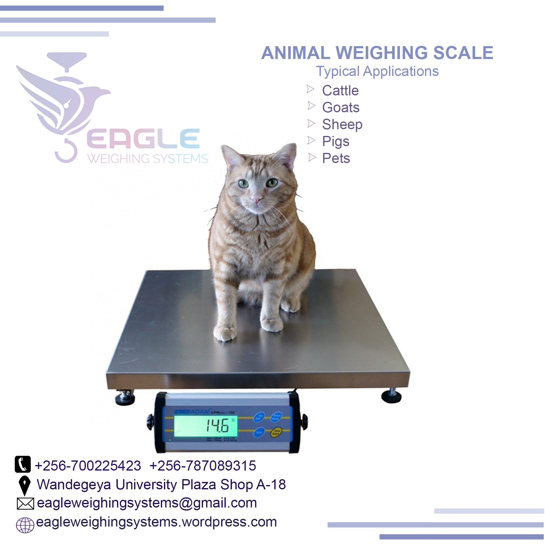 Cattle animal Platform Weighing Scale company in Kampala Uga'