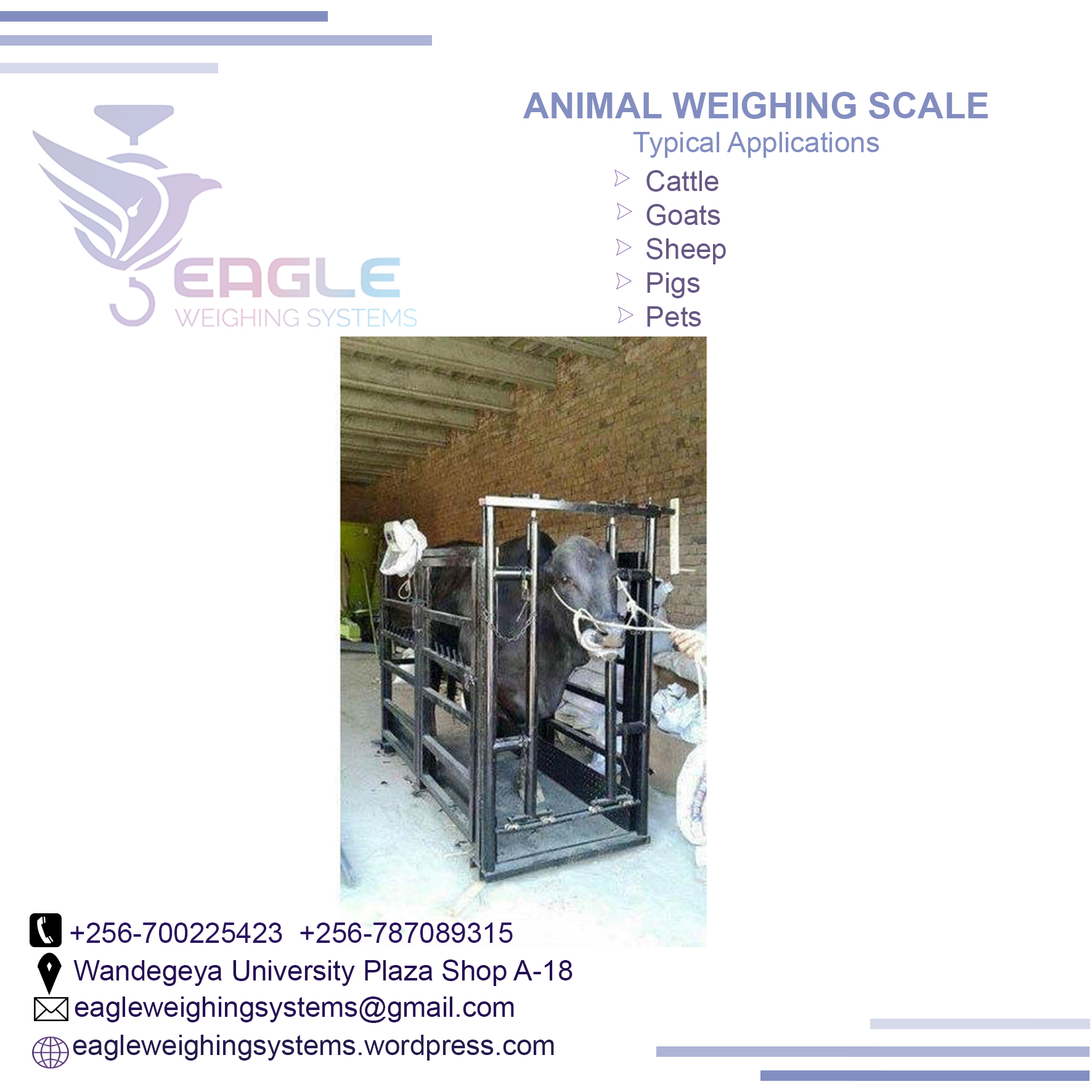 Digital Platform scale 4000kg'