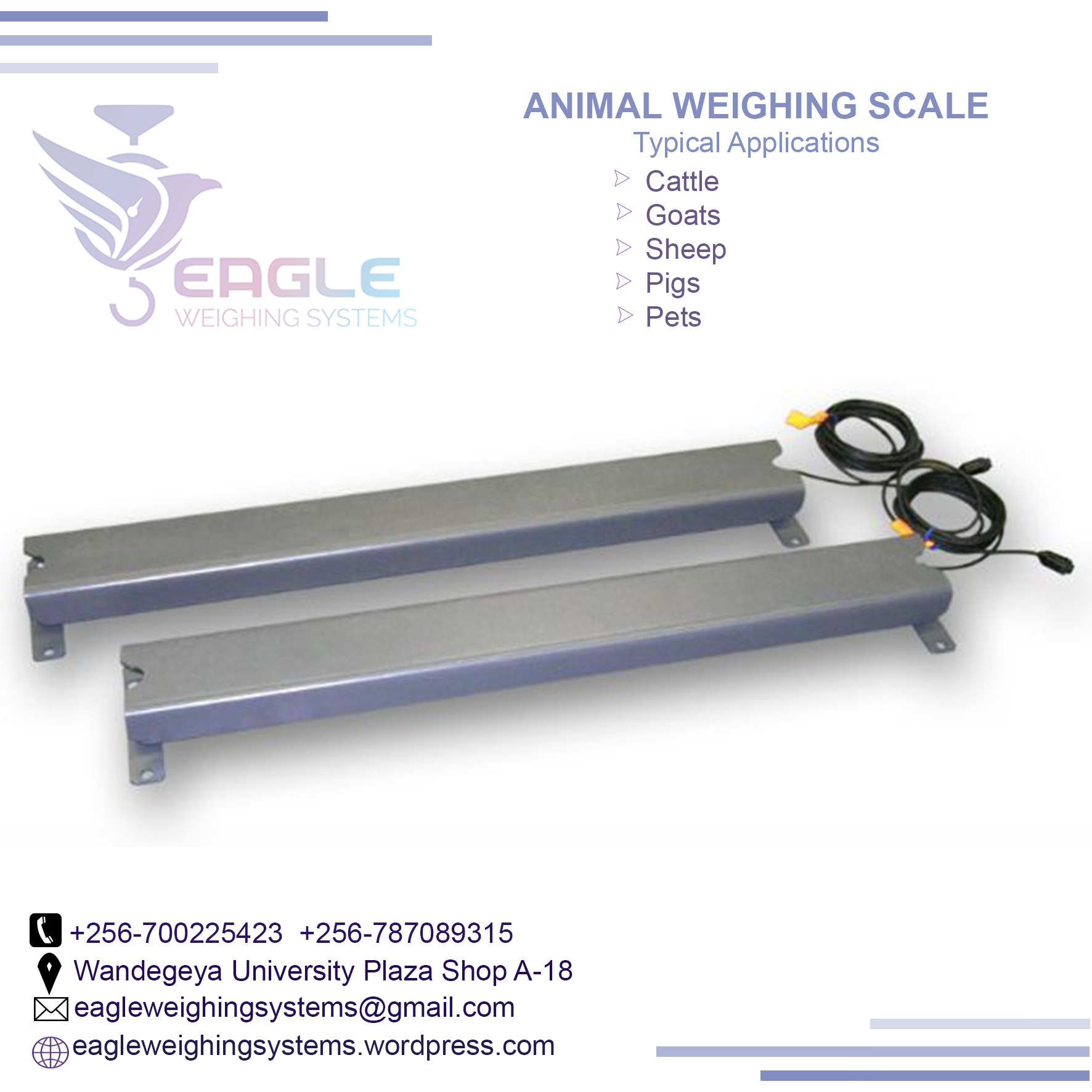 Animal Electronic floor weighing scale animal bench scales i'