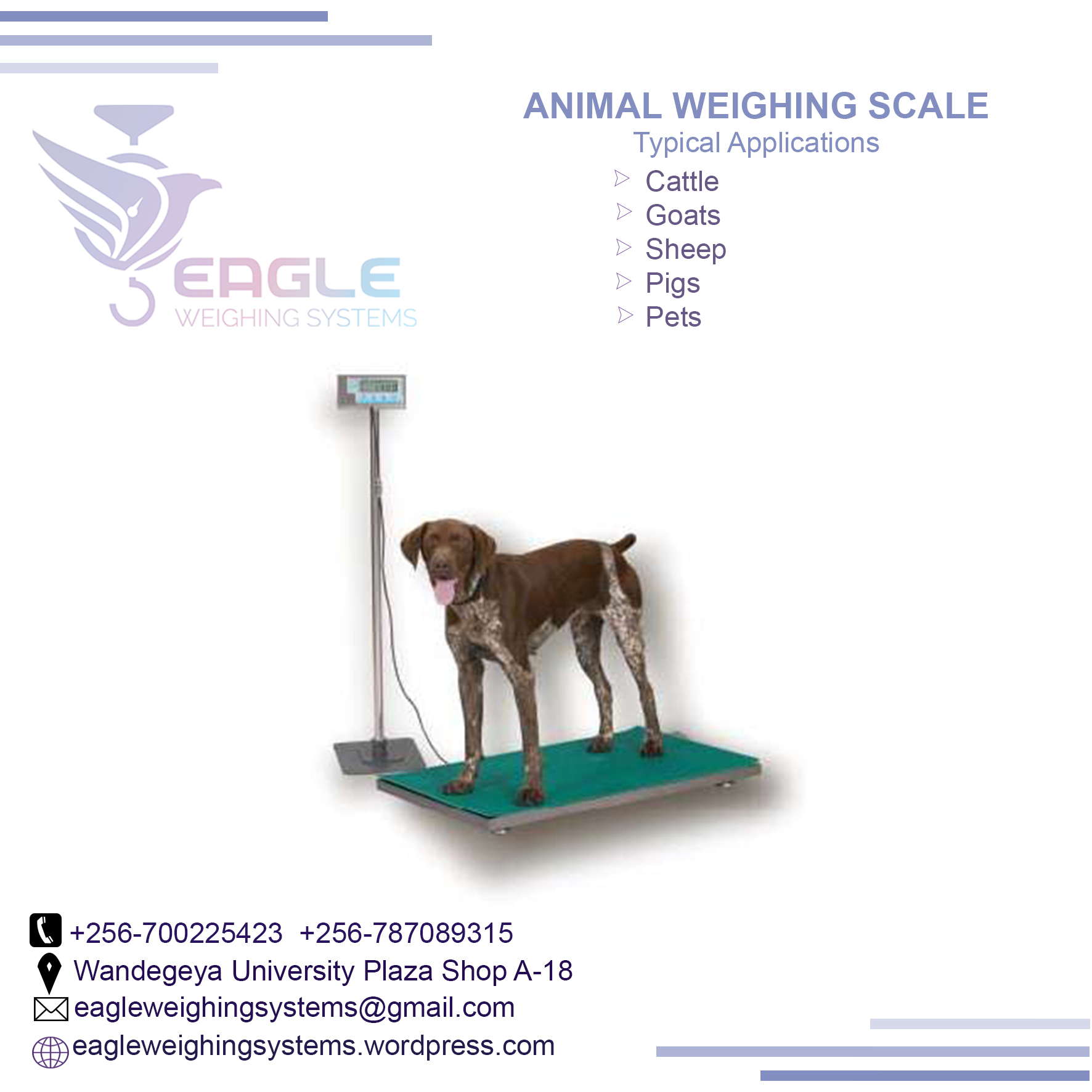 platforms cattle scales in Kampala Uganda'