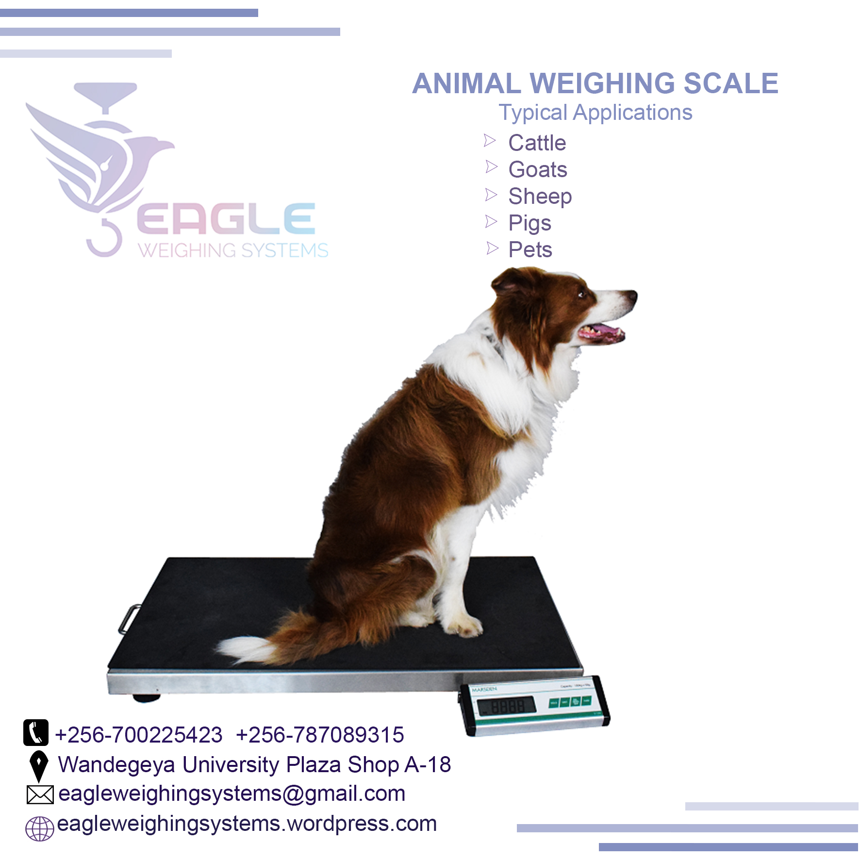 Stainless Steel Digital Electronic animal scales in Kampala'