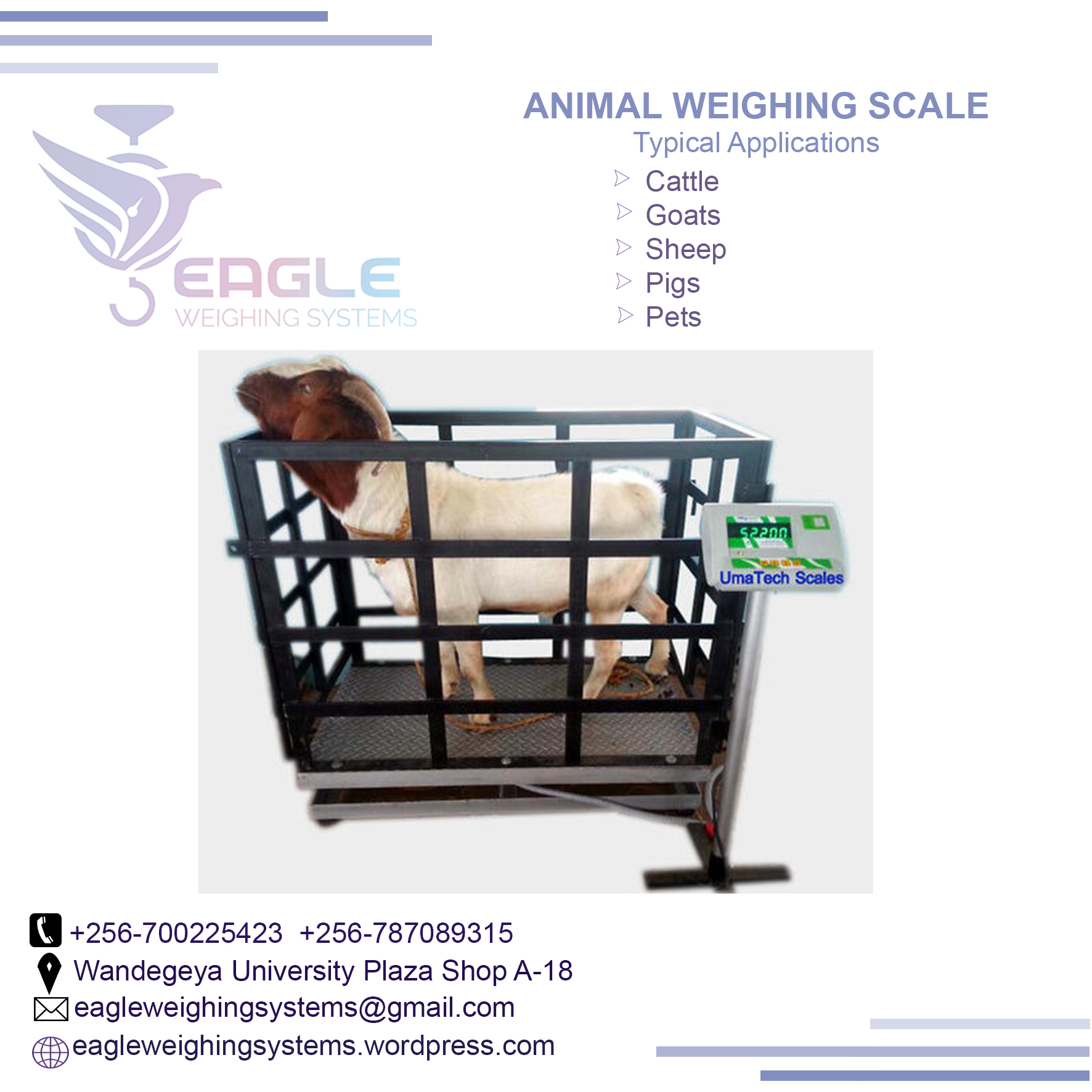 Weighing Balance Platform weighing scale in Kampala Uganda'