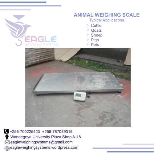 Electronic platform animal weighing digital animal scale/ba'