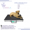 1000 kg digital animal weighing scales  for cows, goats, pig'