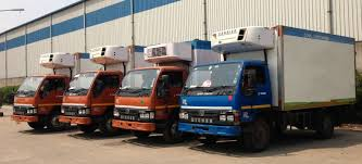 Cold Chain Storage and Logistics Market'