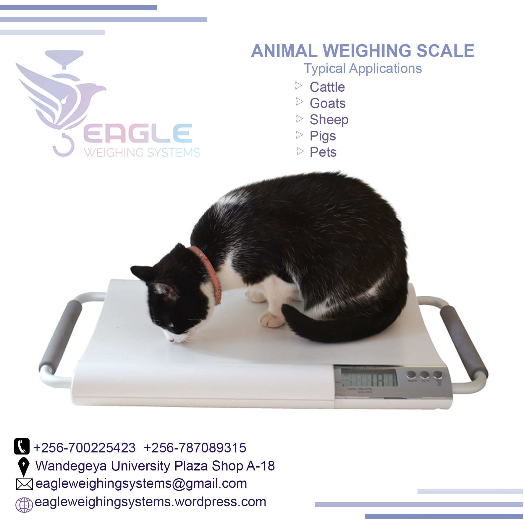 Platform balance animal weight scales'