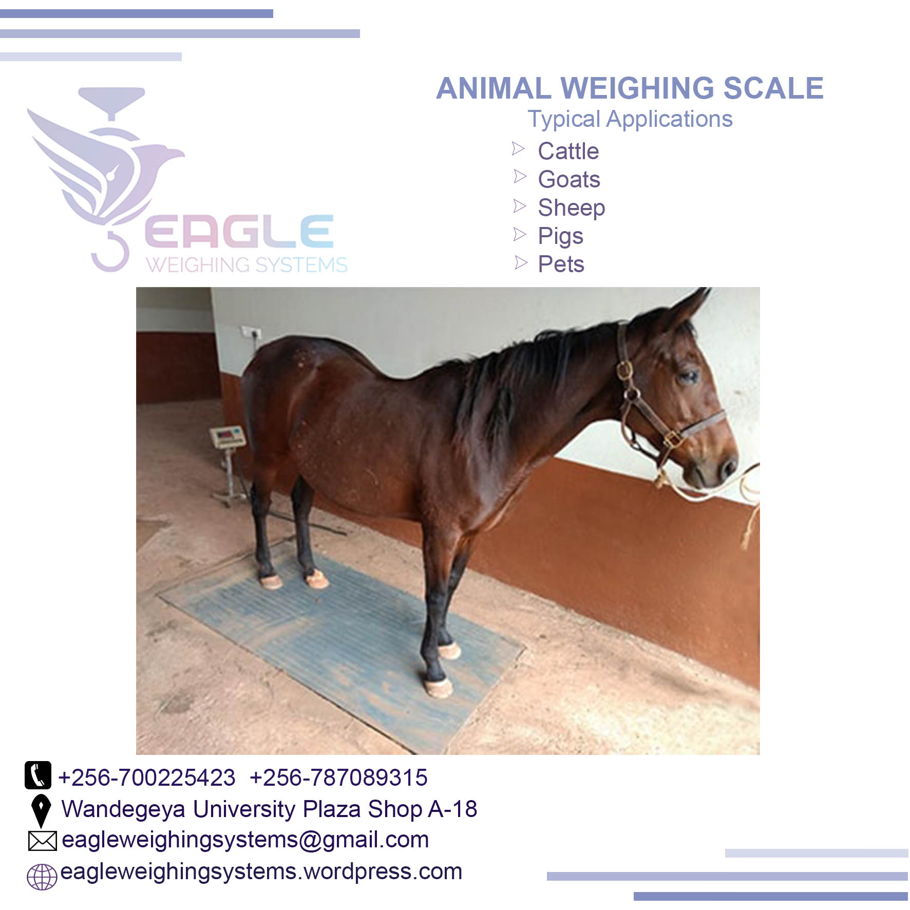Animal Platform weighing scale bench digital animaltype in K'