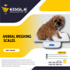 Pet platform animal weighing scales in Kampala Uganda'