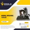 Digital body Animal Weighing Platform Stainless Steel Scale'