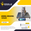 New model Animal electronic scale'