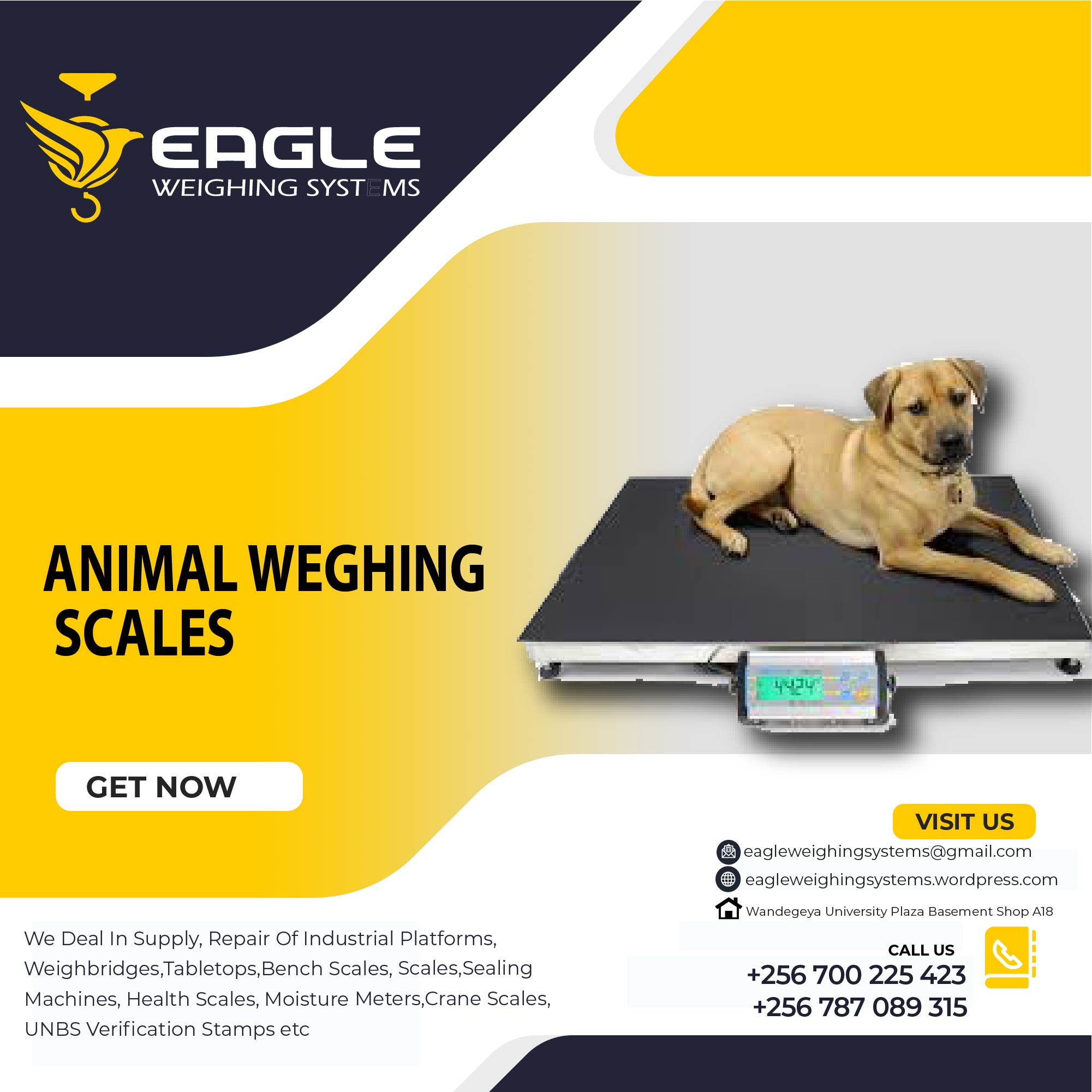 Animal Bench weighing scales in Kampala Uganda'
