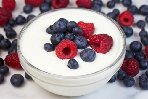 Probiotic Yogurt Market'
