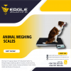 Pet platform animal weighing scales in Kampala Uganda'