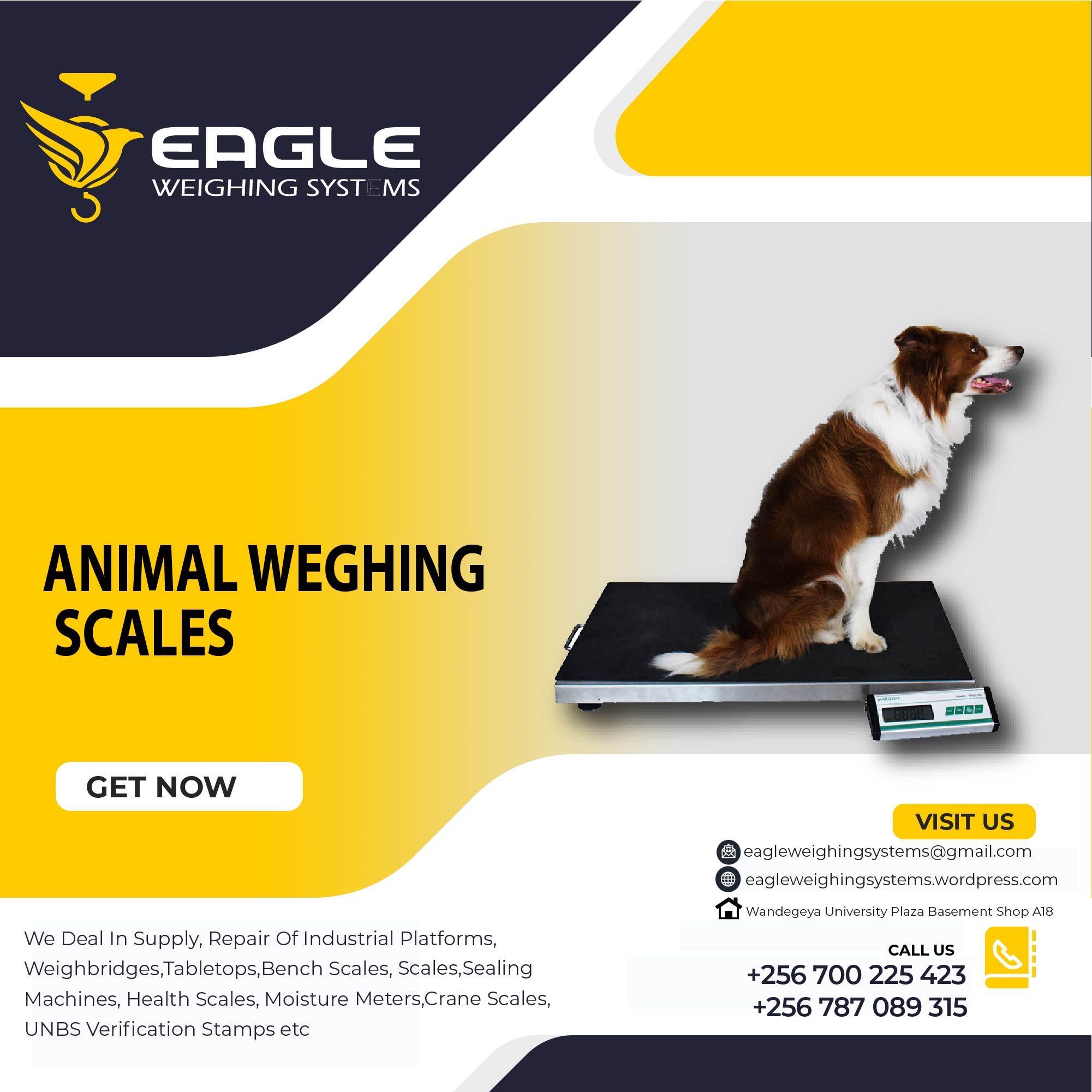 Digital body Animal Weighing Platform Stainless Steel Scale'