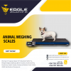 Platform animal weighing scales at Eagle Weighing Systems Ka'