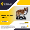 Animal TCS system electronic bench weighing digital platform'