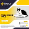 Livestock animal Weighing floor scales at Eagle Weighing sy'