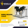 3000KG animal cattle Electronic Digital Industrial Platforms'