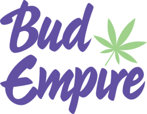 Company Logo For Bud Empire'