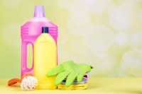 Domestic Liquid Detergent Market