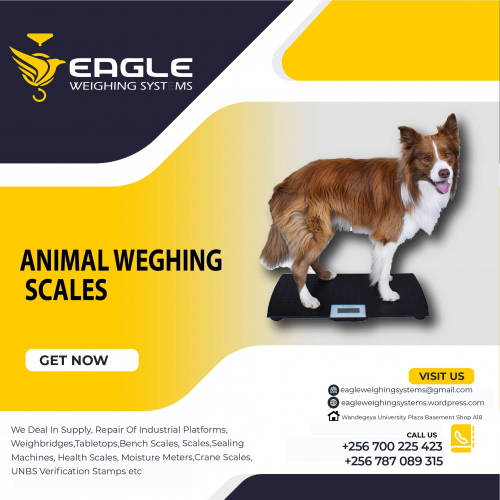 animal scale, postal scale Kampala'