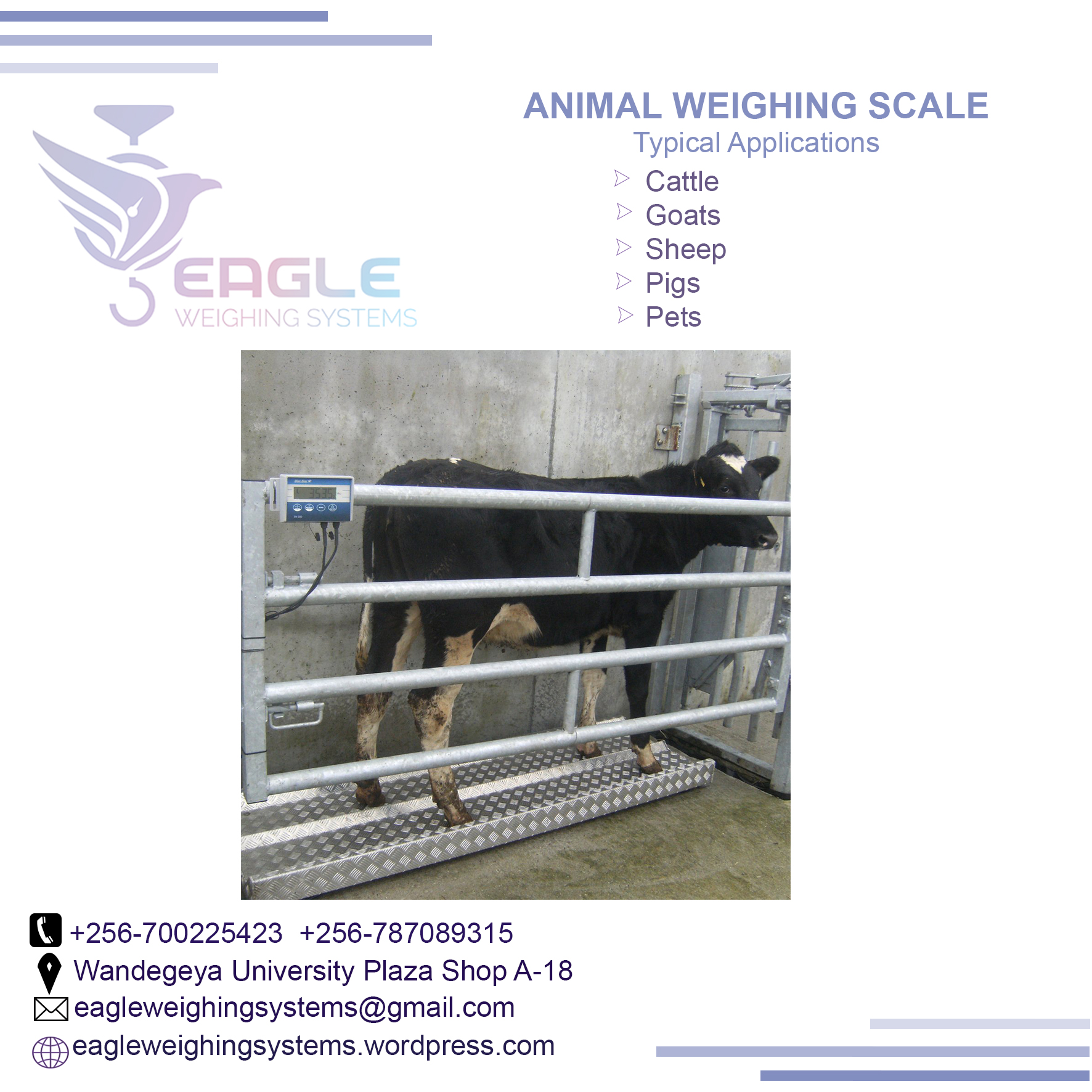 Animal TCS system electronic bench weighing digital platform'