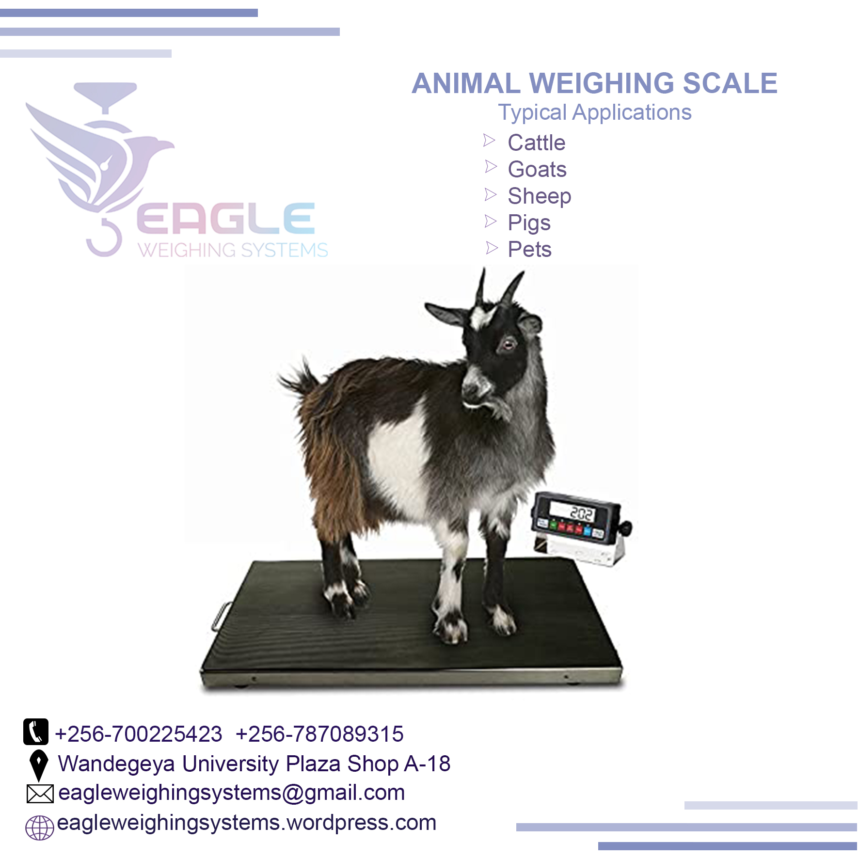 Eagle Weighing systems Ltd Uganda'