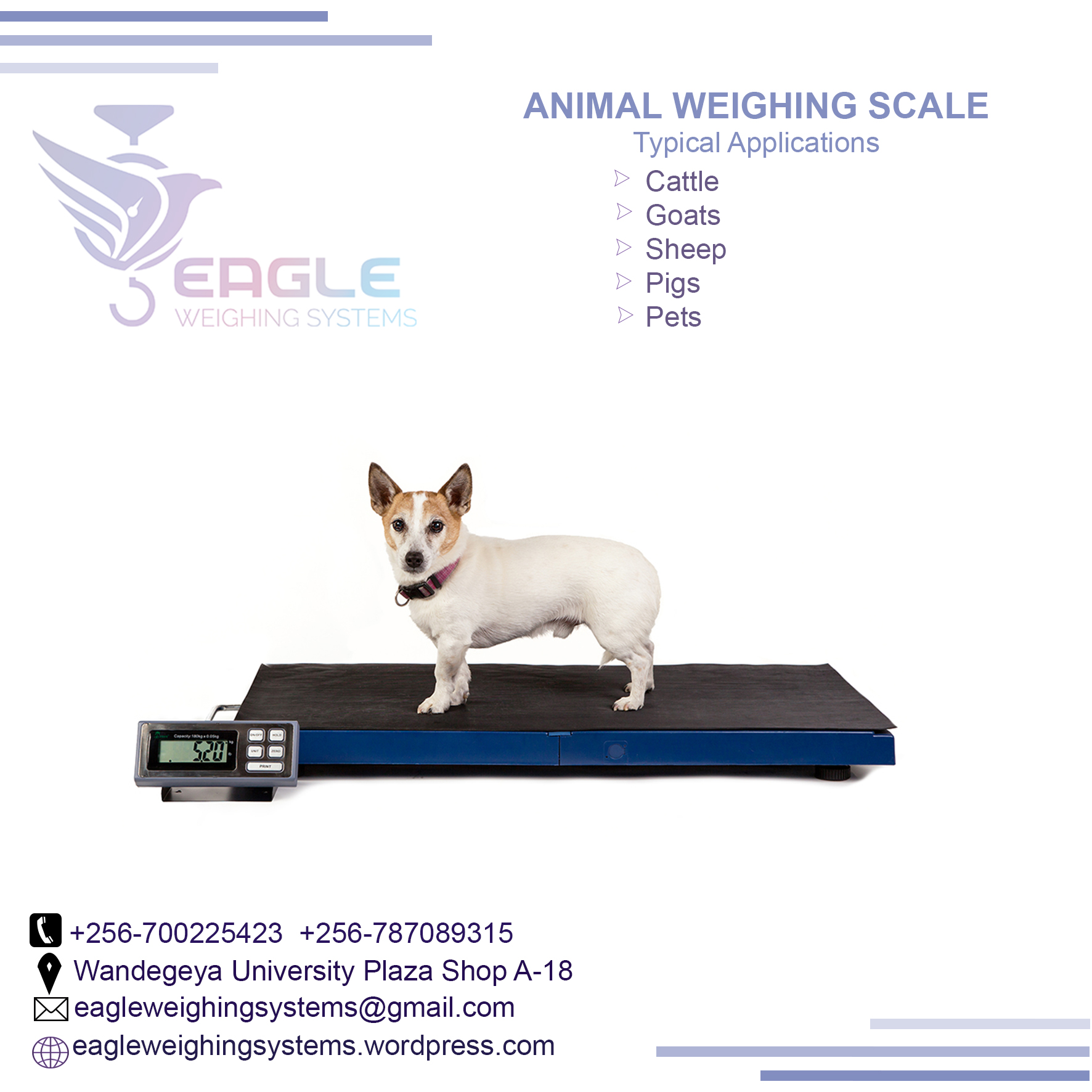 Digital weight 3 ton electric warehouse animal weighing scal'