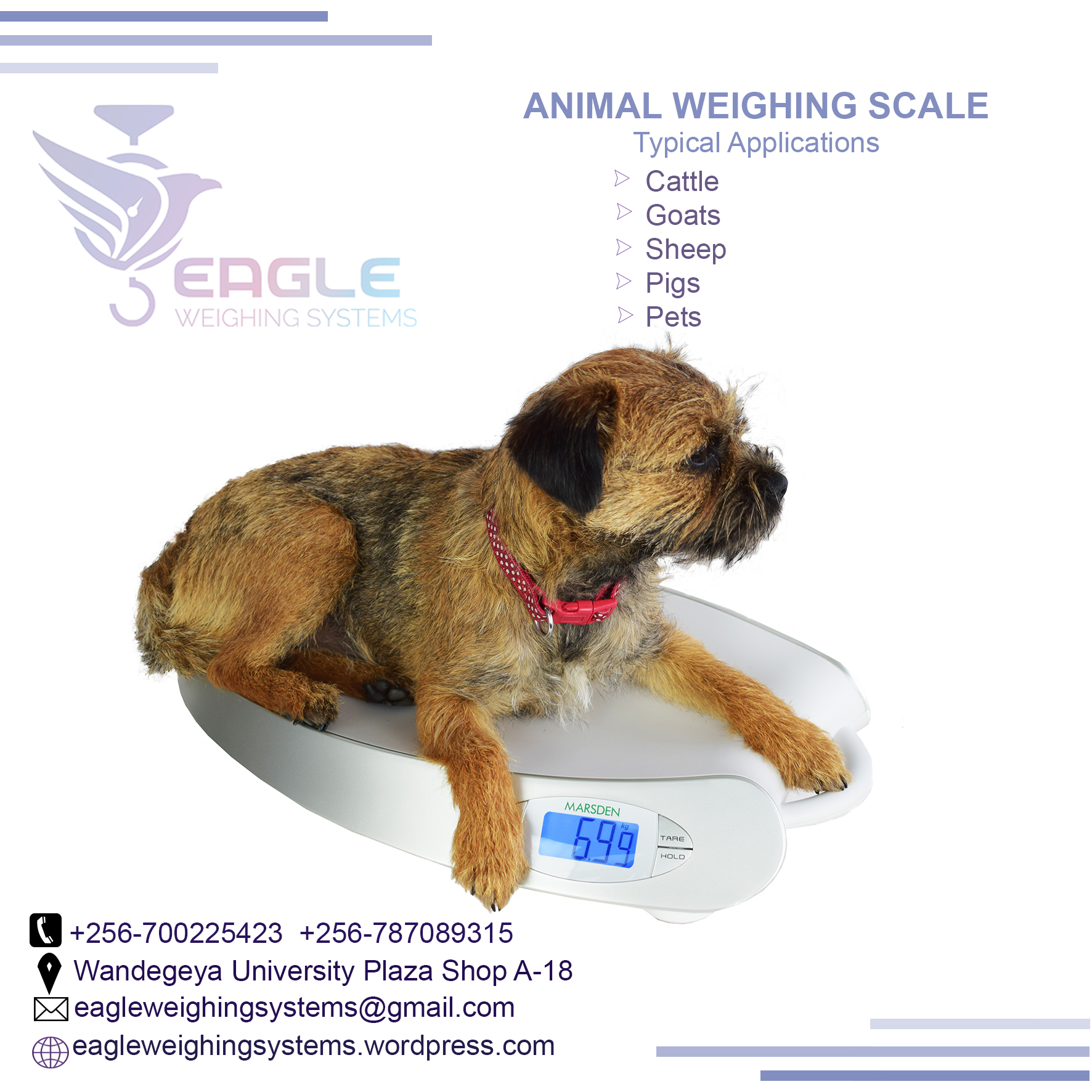 A12E platform animal weighing scales company Kampala Uganda'