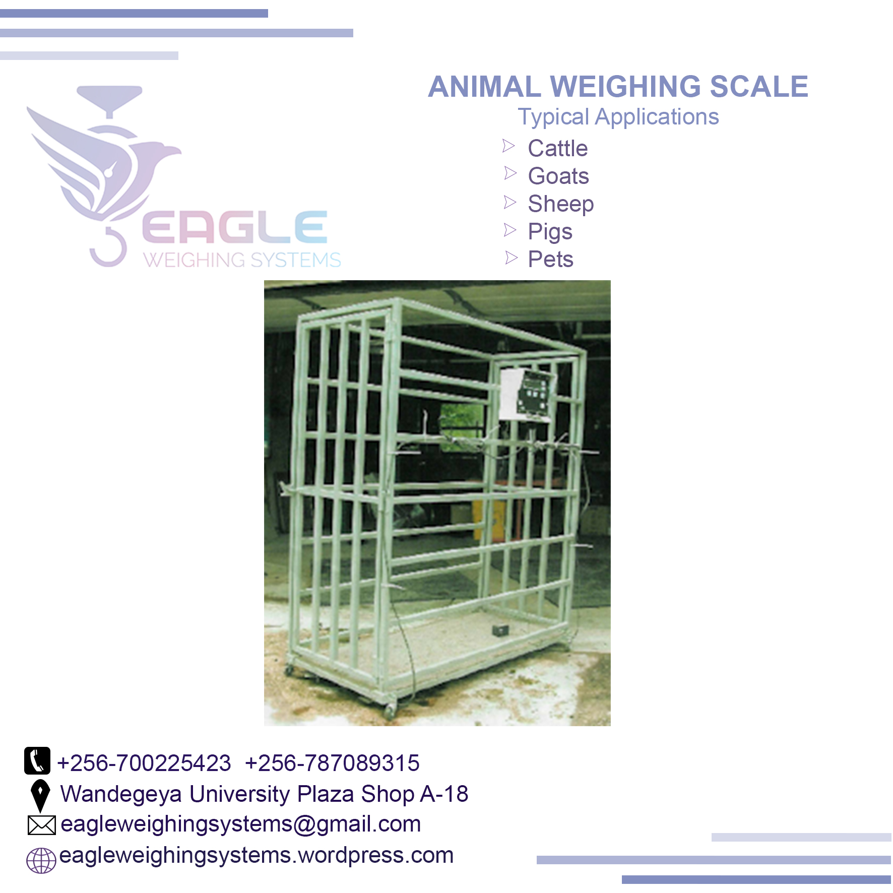 Cattle animal Weight floor weighing scales for industries in'