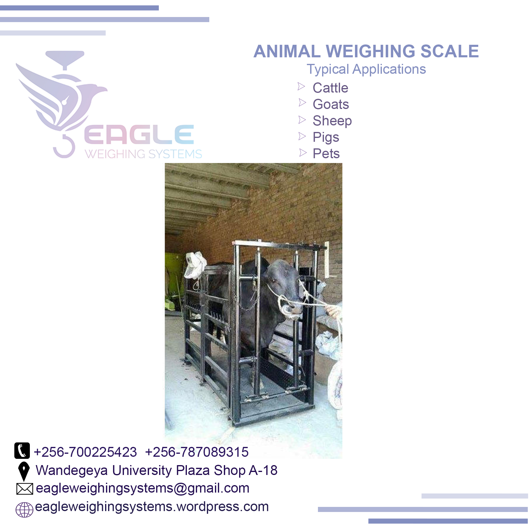 3000KG animal cattle Electronic Digital Industrial Platforms'