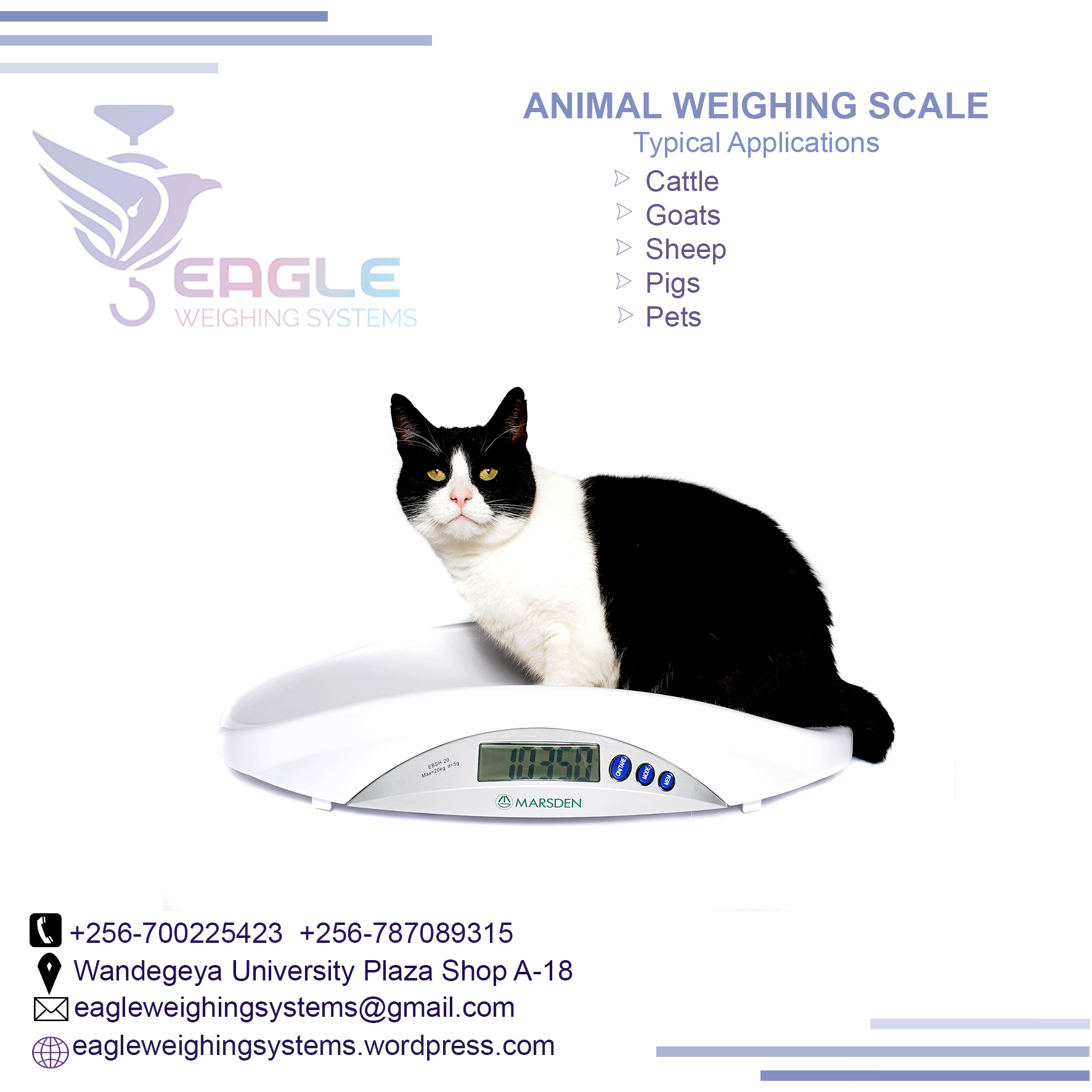 Bench Scale For animals in Kampala'