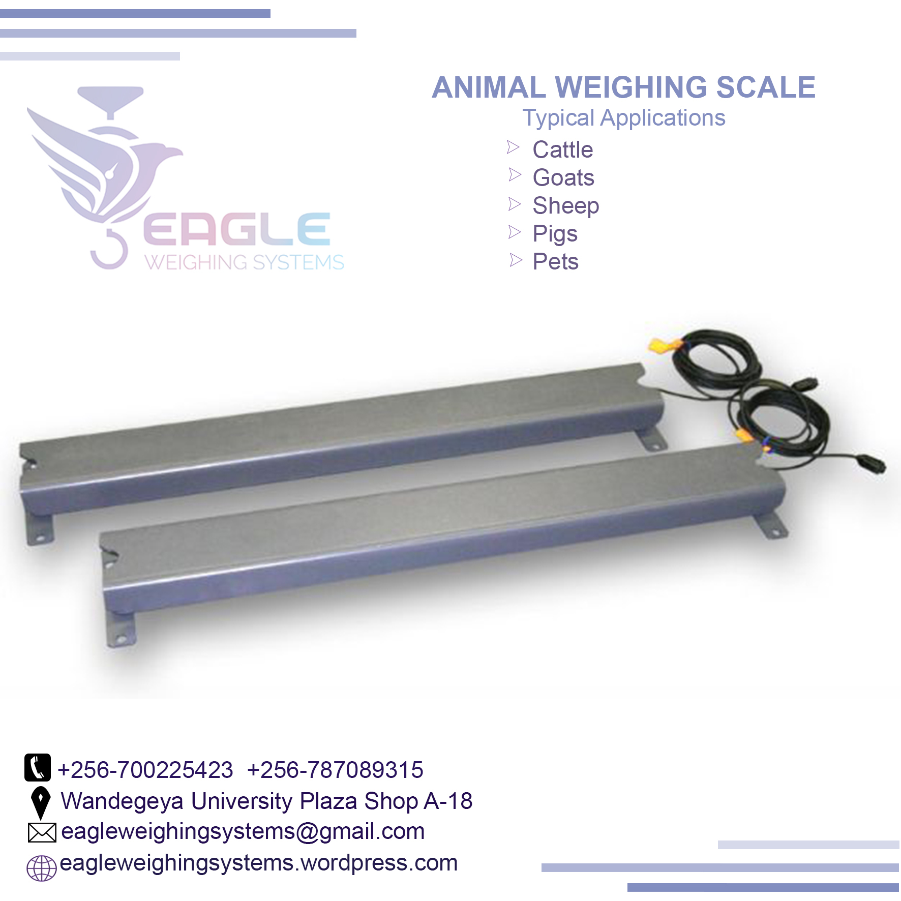 Electronic Price computing platform animal weighing scales i'