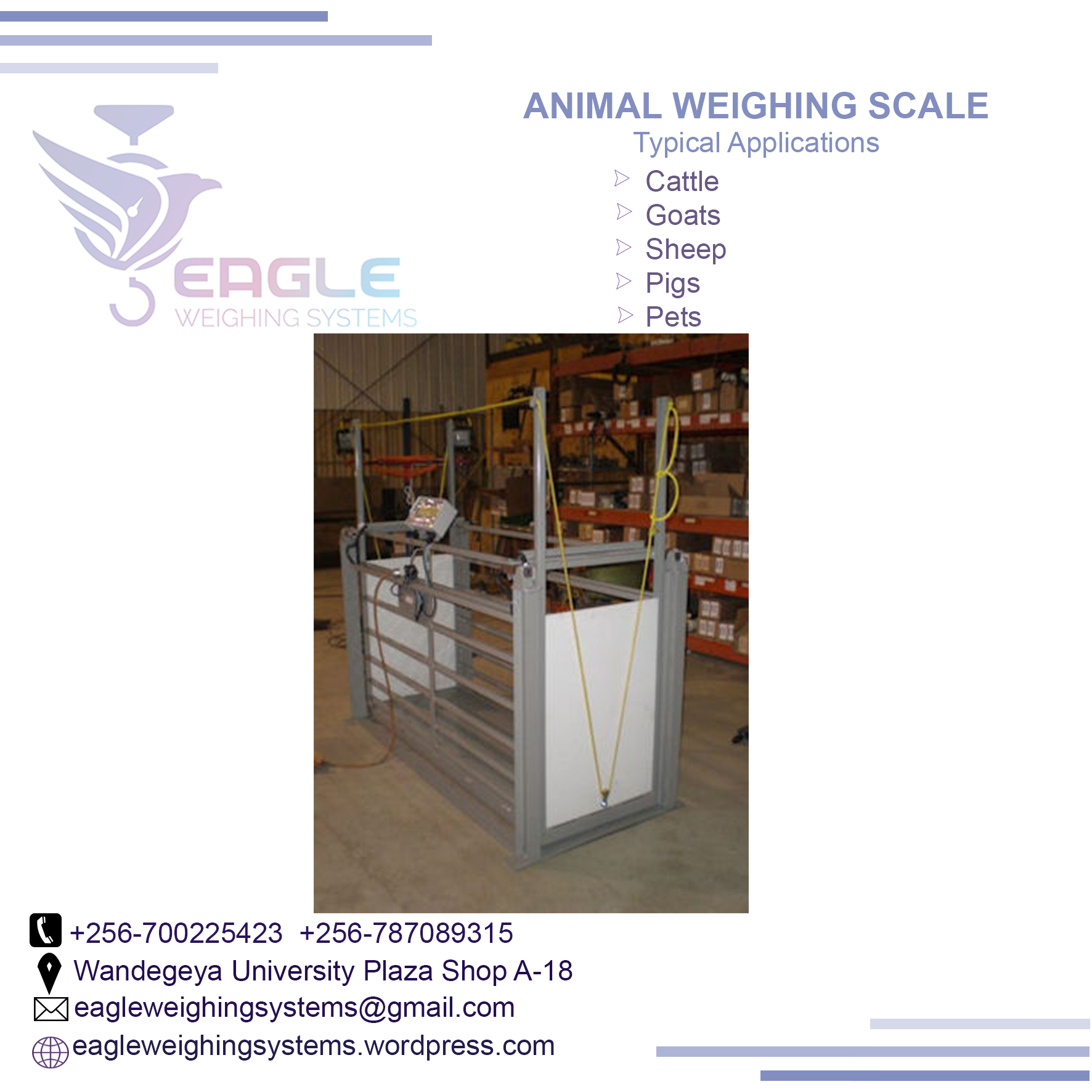 3000kg Digital Platform animal weighing scales in Kampala U'