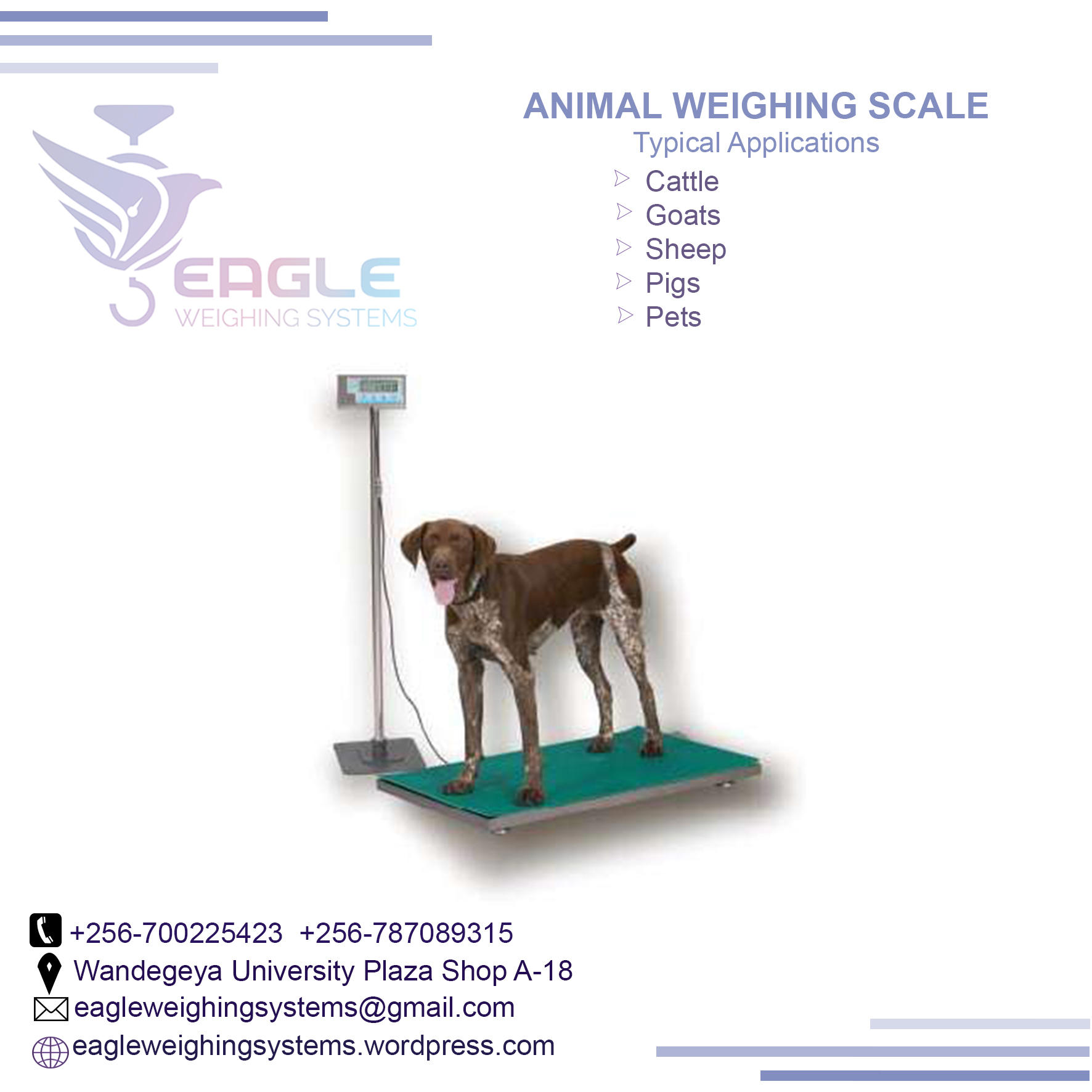 1000 kg digital animal weight scales and machines in Kampala'