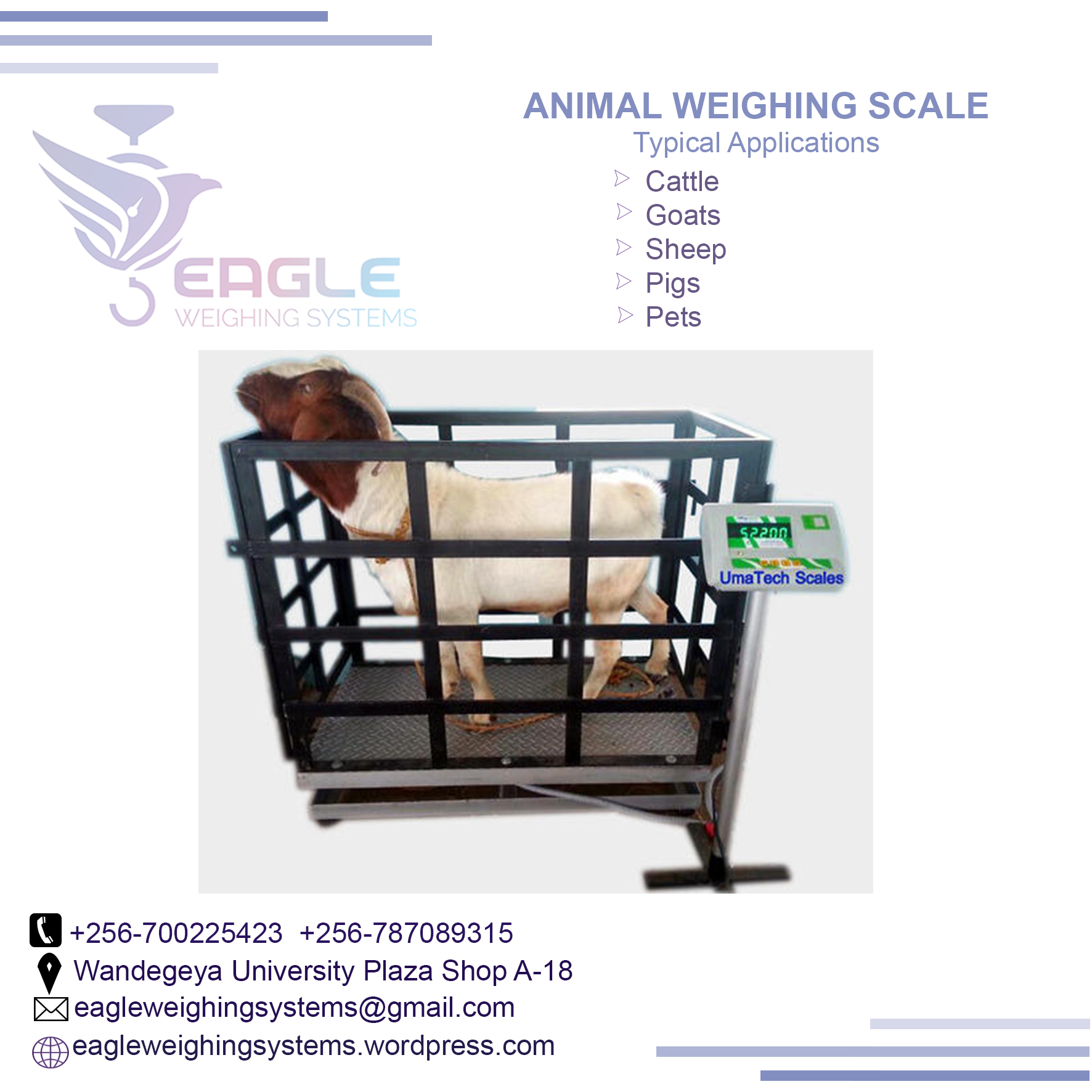 Cattle animal Platform Weighing Scale company in Kampala Uga'