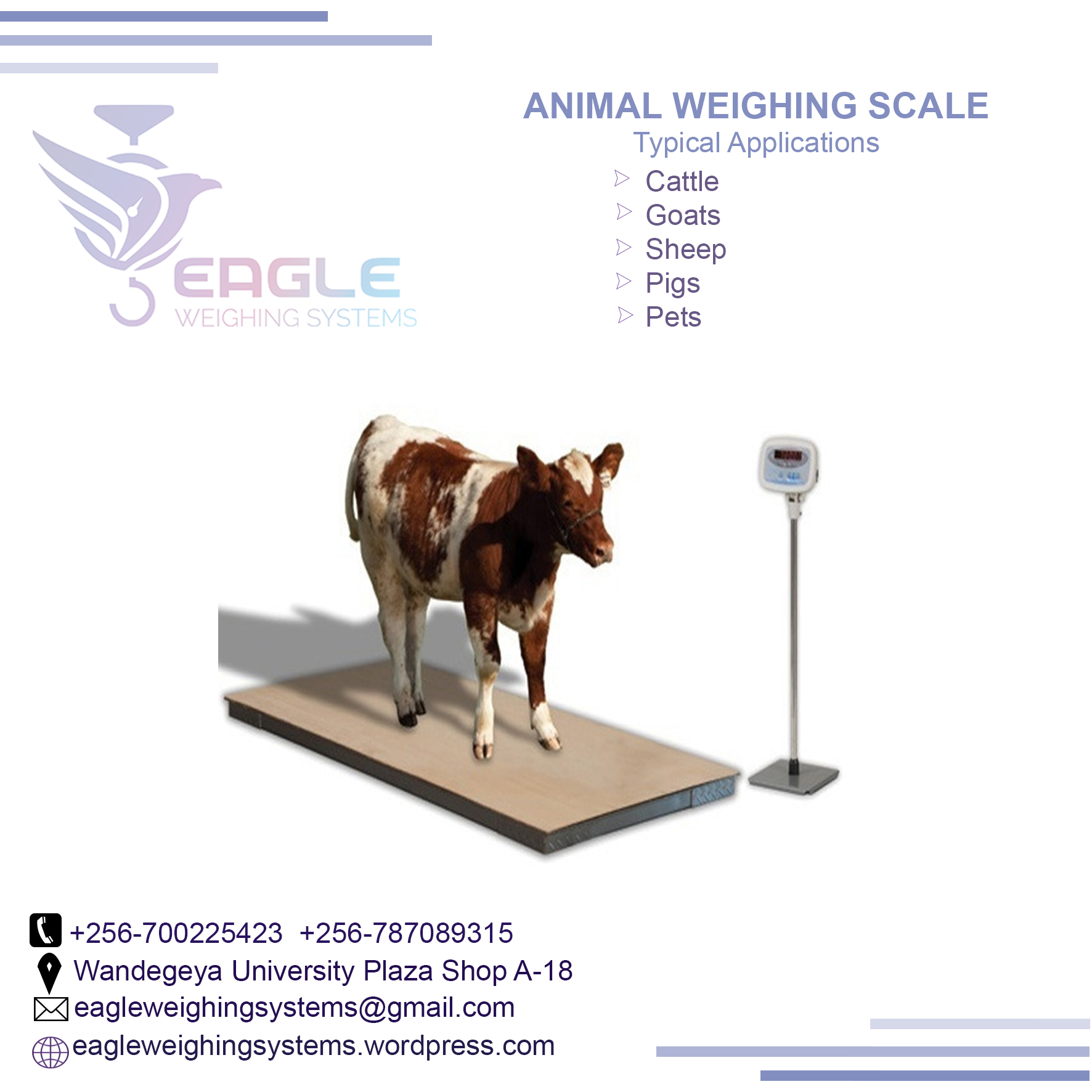 Electronic platform digital animal weighing scale with raili'