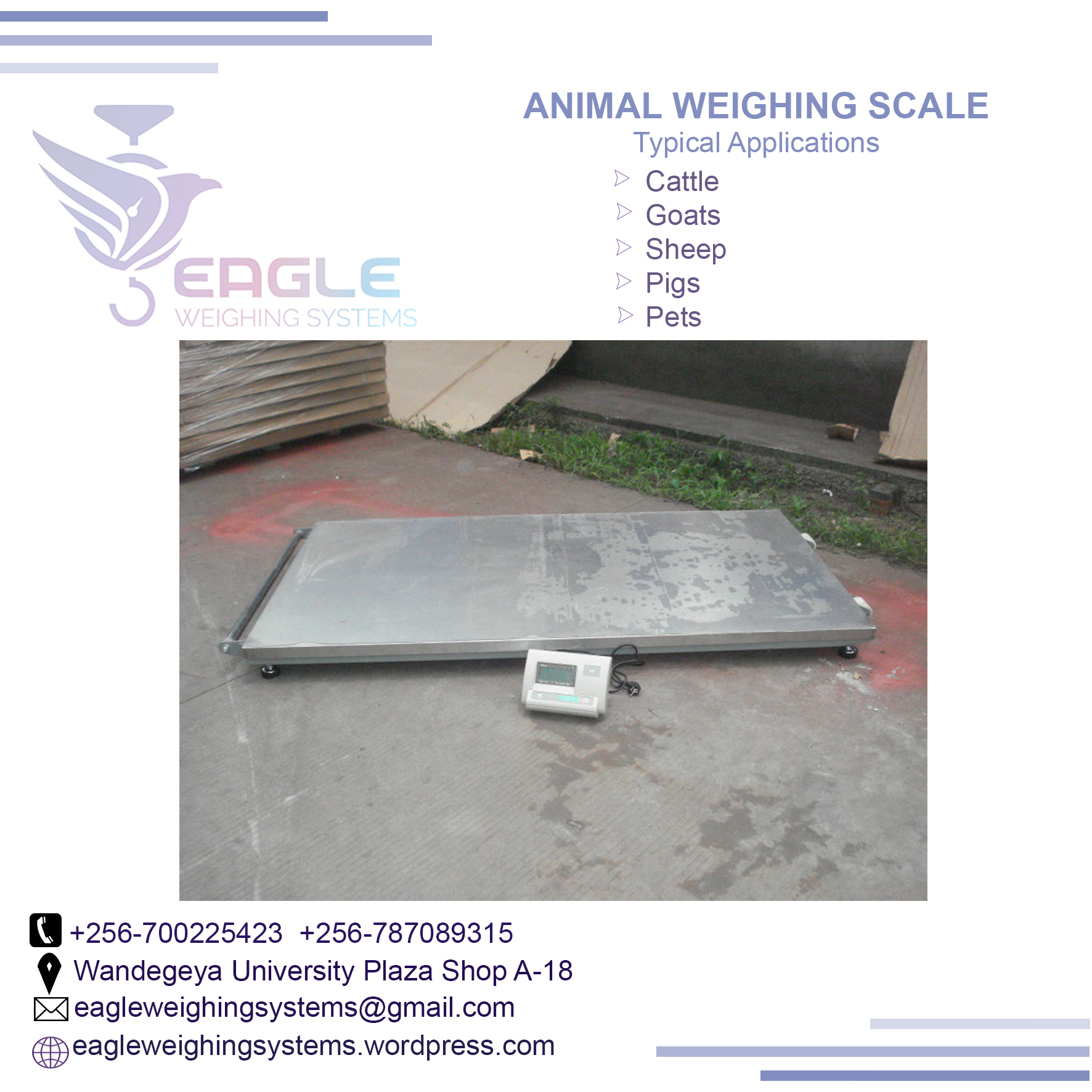 Digital Platform scale 4000kg'