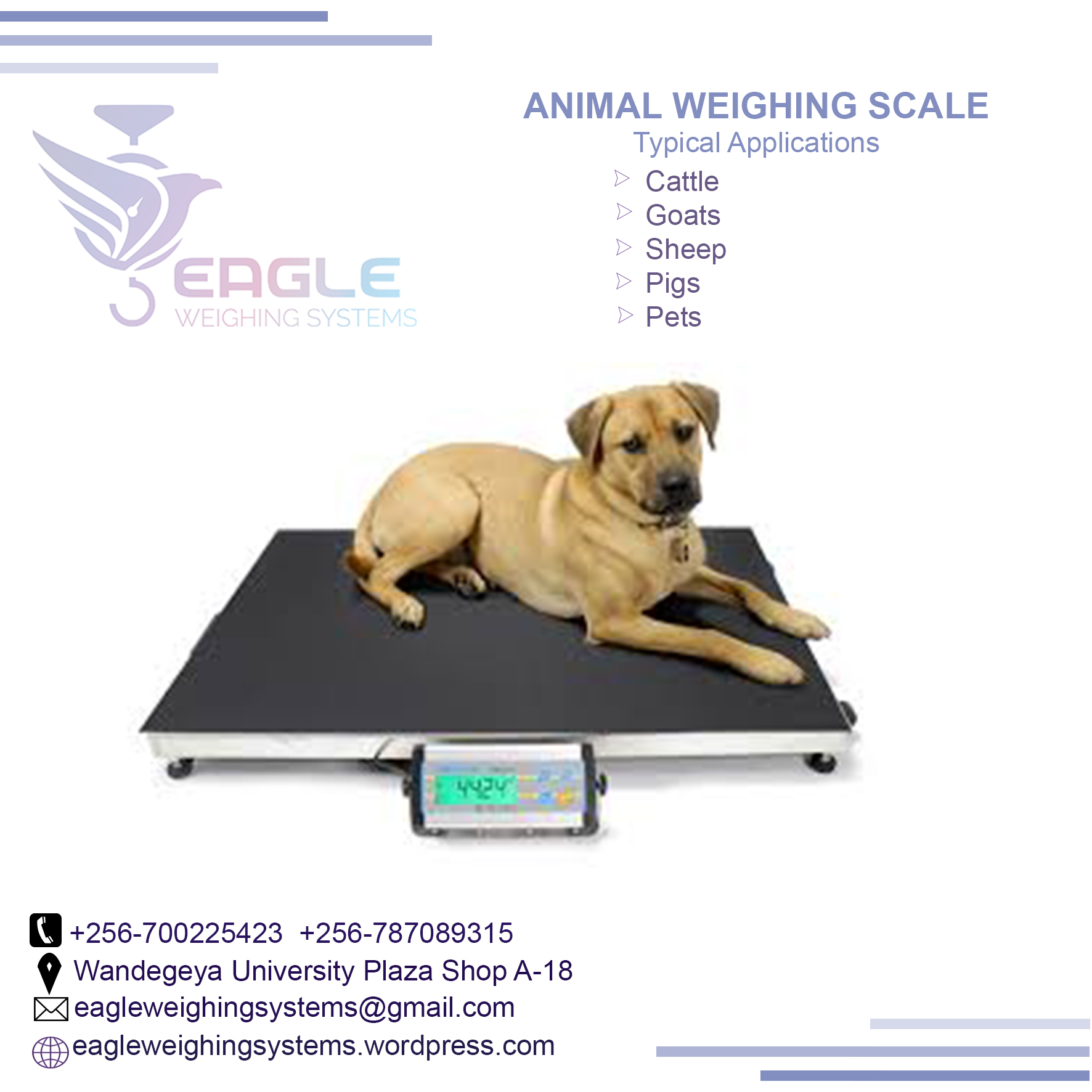 electronic animal weigh scale in Kampala Uganda'