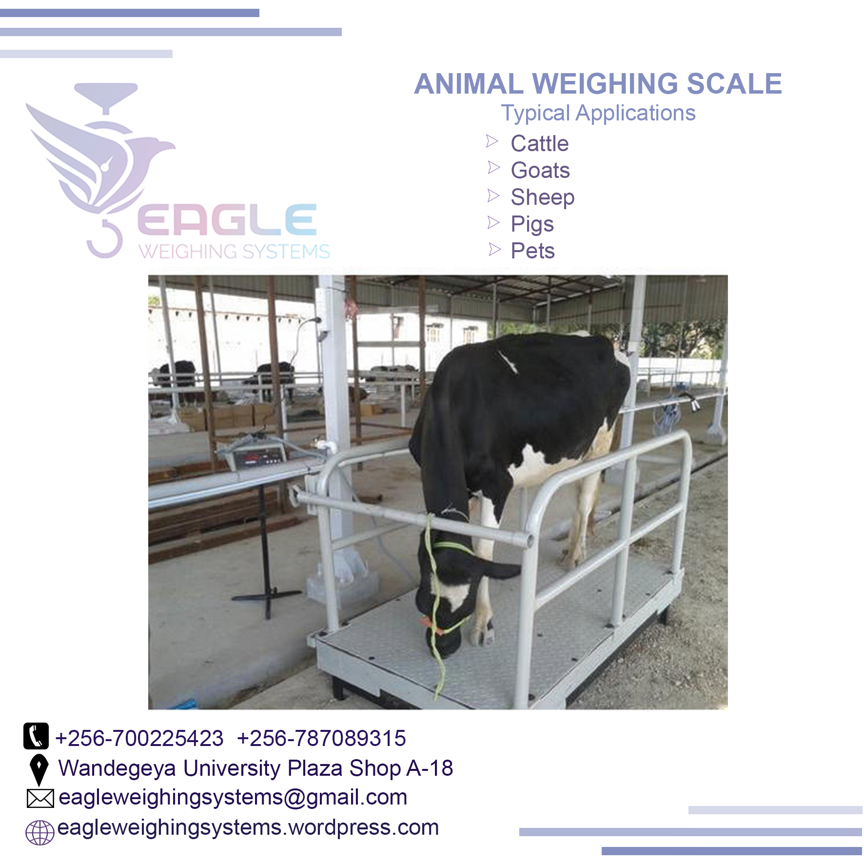 1t 3t 5t industrial animal digital platform weighing scales'